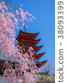 Miyoshima 38093399