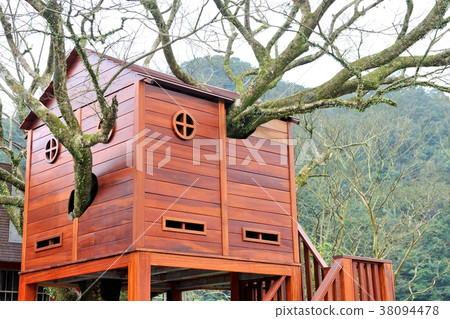 樹屋,房子,樹,建築,形狀,樣式,臺灣,新北市,平溪區,菁桐,山,清新 38094478