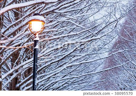 白雪皚皚的景觀水杉襯裡的滋賀縣牧野鎮 白雪皚皚的景觀水杉襯裡的滋賀縣牧野鎮 38095570