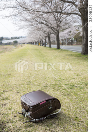 櫻花和書包 櫻花和書包 38096125