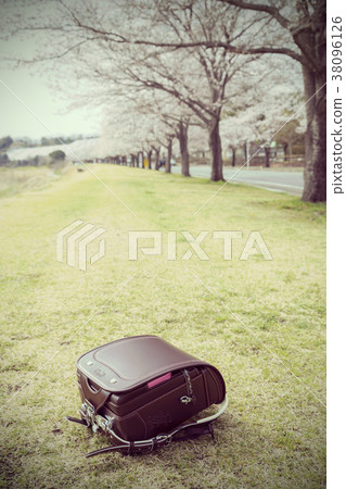 櫻花和書包 櫻花和書包 38096126