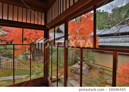 the Shinsho gokuraku ji garden at fall 38096495