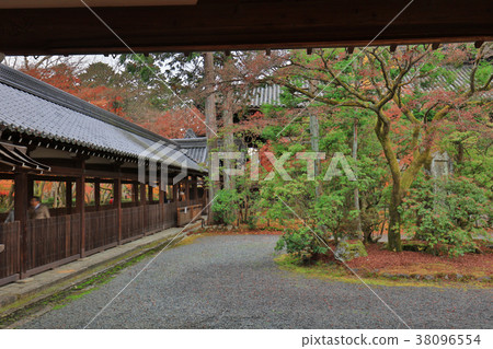 the Shinsho gokuraku ji garden at fall the Shinsho gokuraku ji garden at fall 38096554
