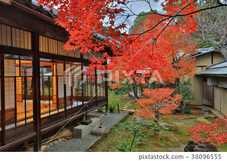 the Shinsho gokuraku ji garden at fall 38096555