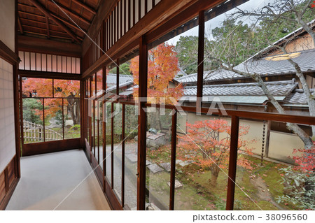 the Shinsho gokuraku ji garden at fall 38096560