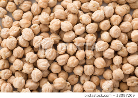 Chick pea 38097209