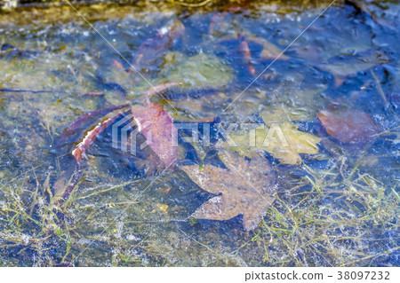 Texture, backgrounds, abstraction. Frozen puddle Texture, backgrounds, abstraction. Frozen puddle 38097232