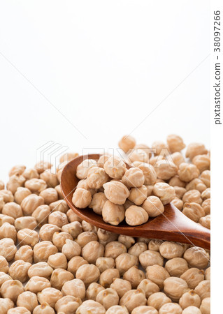 鷹嘴豆 鷹嘴豆 38097266