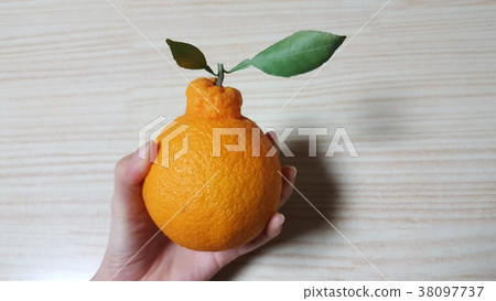 Flavored fruit Halabong Flavored fruit Halabong 38097737