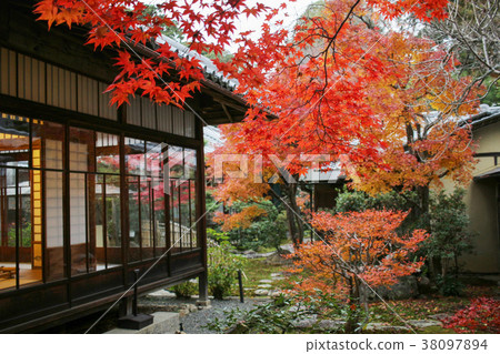 the Shinsho gokuraku ji garden at autumn the Shinsho gokuraku ji garden at autumn 38097894
