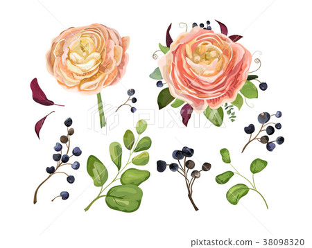 Vector floral big element set 38098320