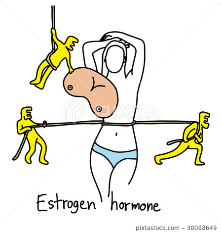 metaphor Estrogen hormone makes women wasp waist metaphor Estrogen hormone makes women wasp waist 38098649