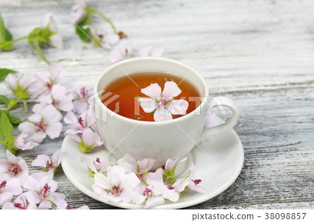 Tea from Marsh mallow, lat. Althaea officinalis Tea from Marsh mallow, lat. Althaea officinalis 38098857