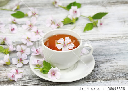 ea from Marsh mallow, lat. Althaea officinalis 38098858