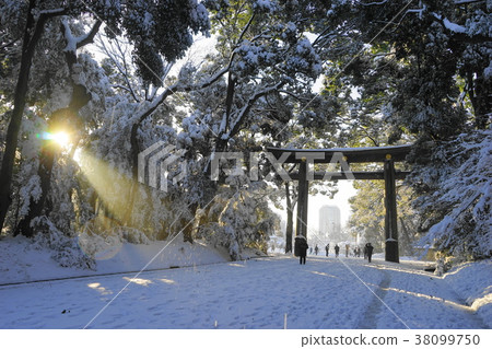 January Meiji Jingu 38 okirako, snow scene 2018 38099750