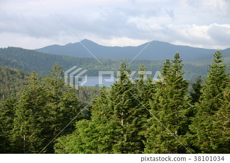 Ozenuma Ozenuma 38101034