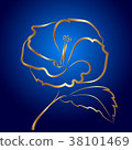 Hibiscus flower sketch gold on blue 38101469