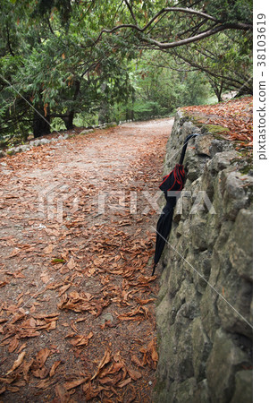Black umbrella stands in autumn park 38103619