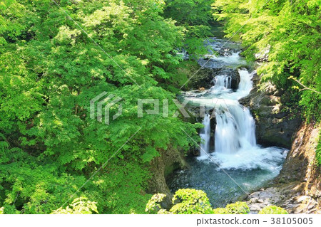 Feng Shui 4 Falls of the fresh green 38105005