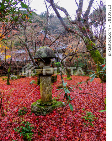 Yugoyaji寺廟秋葉在京都 Yugoyaji寺廟秋葉在京都 38105513
