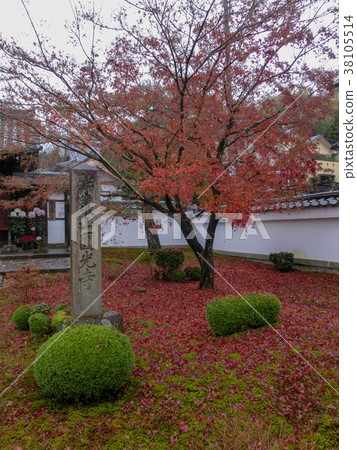 Yugoyaji寺廟秋葉在京都 Yugoyaji寺廟秋葉在京都 38105514