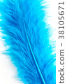 Close-up of Blue feather  isolated on white 38105671