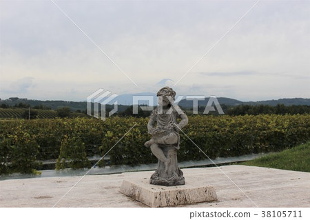 Nakaizu釀酒廠城堡和葡萄園 38105711