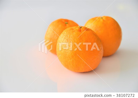 Sweet ponkan 38107272