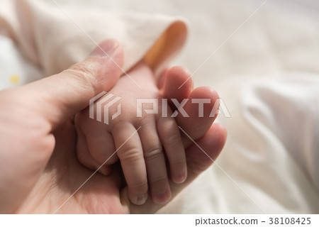 手 38108425