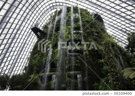 Cloud Forest Dome, Garden by the bay, Singapore Cloud Forest Dome, Garden by the bay, Singapore 38109400