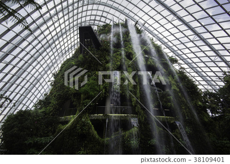 Cloud Forest Dome, Garden by the bay, Singapore 38109401
