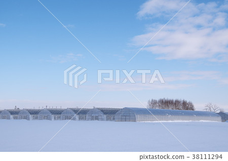 Snowfield greenhouse 38111294