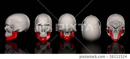 下頜骨定位列表 38111524