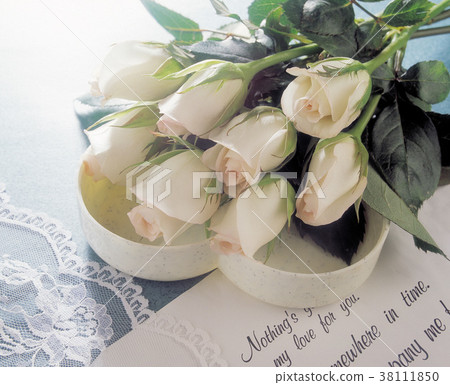 榫馨romantic flower design design piece, spirit of spirit, birthday blessing 榫馨romantic flower design design piece, spirit of spirit, birthday blessing 38111850