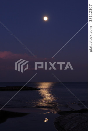 Moonlight night Moonlight night 38112307