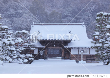 It is the state of the main temple of Suzuroji Temple in Hikone city, Shiga Prefecture, with a blizzard. 38113262