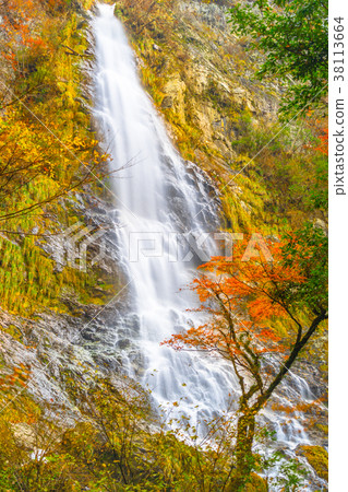 [100 selections of Japanese waterfalls] One of the three waterfalls of Tajima "Amagaki surrounded by autumn leaves" (Hyogo Prefecture) *Photo location information is available in the comment section of the work 38113664
