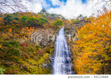 [100 selections of Japanese waterfalls] One of the three waterfalls of Tajima "Amagaki surrounded by autumn leaves" (Hyogo Prefecture) *Photo location information is available in the comment section of the work 38113666