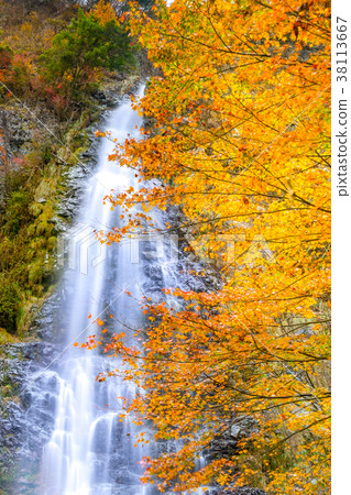 [100 selections of Japanese waterfalls] One of the three waterfalls of Tajima "Amagaki surrounded by autumn leaves" (Hyogo Prefecture) *Photo location information is available in the comment section of the work 38113667