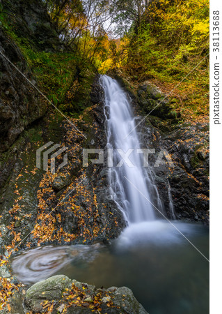 秋葉下的Kougataki瀑布（兵庫縣Yabu市Tentaki周圍）*照片位置信息可在作品的評論部分找到 38113688