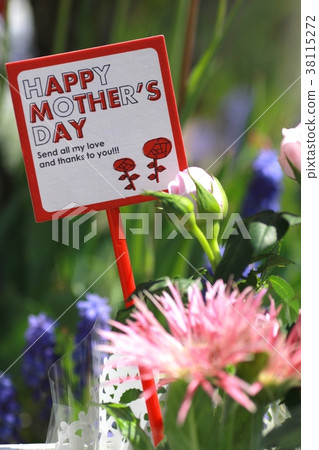 Mother's Day flowers and message card 38115272