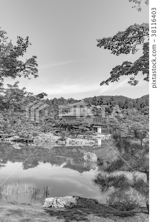 [Monotone] Fresh green Kinkakuji 38116403