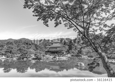 [Monotone] Fresh green Kinkakuji 38116415