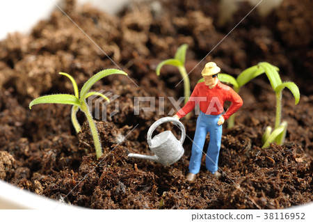 Wish good harvest Wish good harvest 38116952