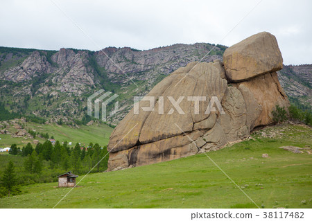 烏龜石 烏龜石 38117482