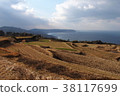 Tohoda field Rice terrace 38117699
