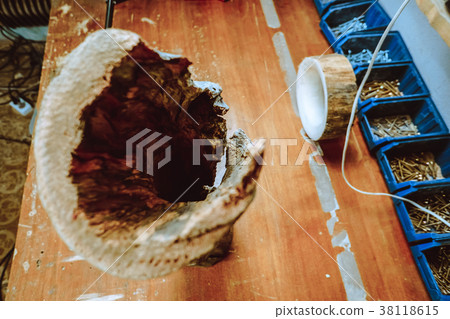 snag from a tree snag from a tree 38118615