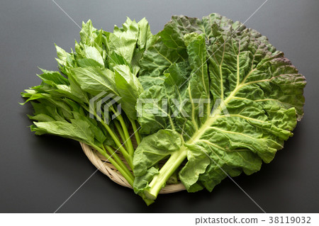 Tomorrow leaves, kale Tomorrow leaves, kale 38119032