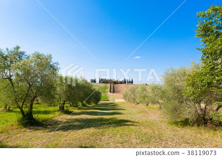 Tuscany hills landscape, Italy 38119073