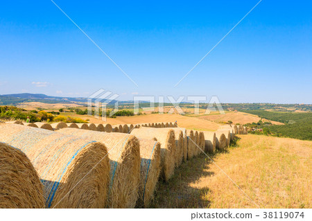 Tuscany hills landscape, Italy 38119074